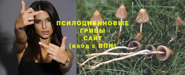 дурь Абинск