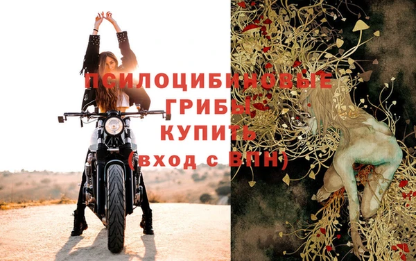 гашик Абаза