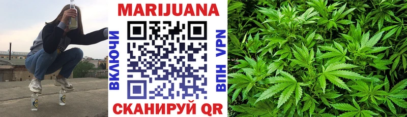 Конопля Ganja наркота Шенкурск